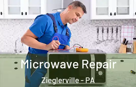  Microwave Repair Zieglerville - PA