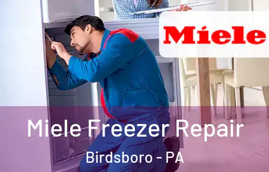  Miele Freezer Repair Birdsboro - PA