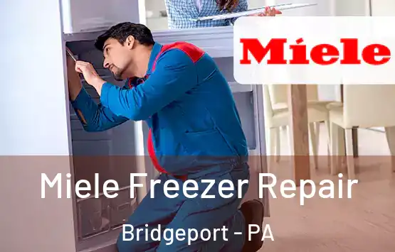  Miele Freezer Repair Bridgeport - PA