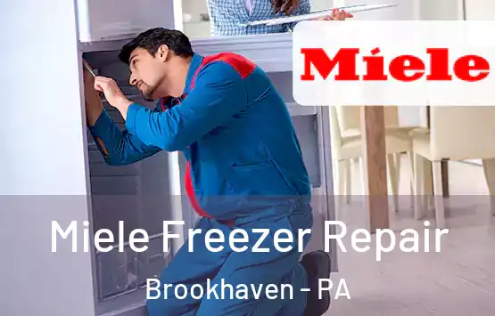  Miele Freezer Repair Brookhaven - PA