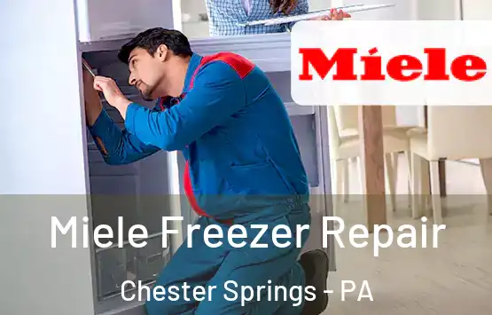 Miele Freezer Repair Chester Springs - PA