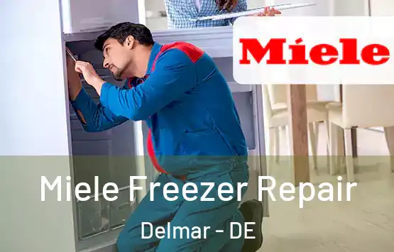  Miele Freezer Repair Delmar - DE