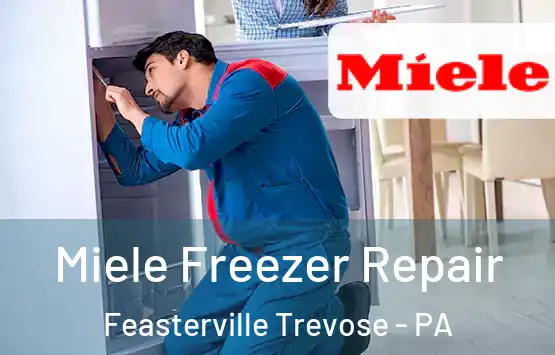  Miele Freezer Repair Feasterville Trevose - PA
