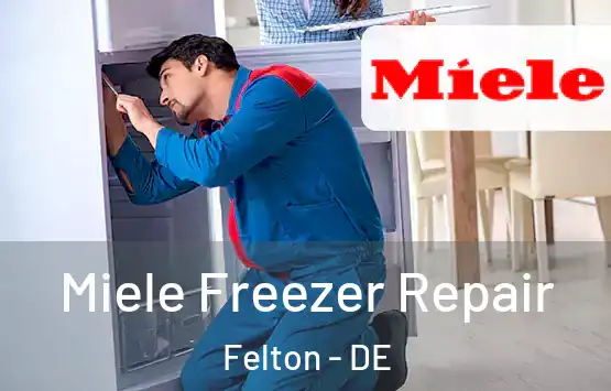  Miele Freezer Repair Felton - DE