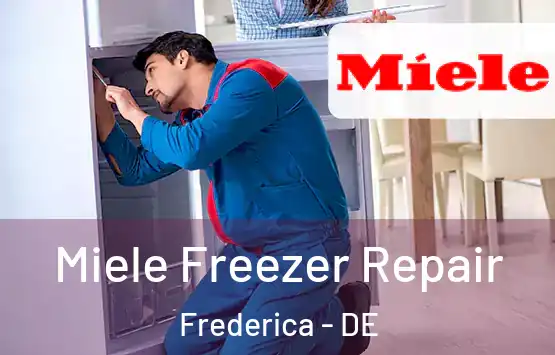  Miele Freezer Repair Frederica - DE