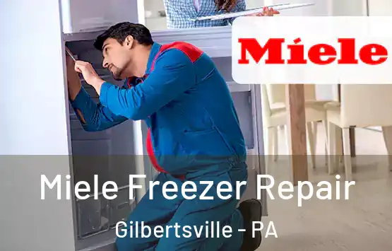  Miele Freezer Repair Gilbertsville - PA