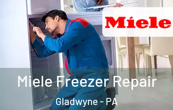  Miele Freezer Repair Gladwyne - PA