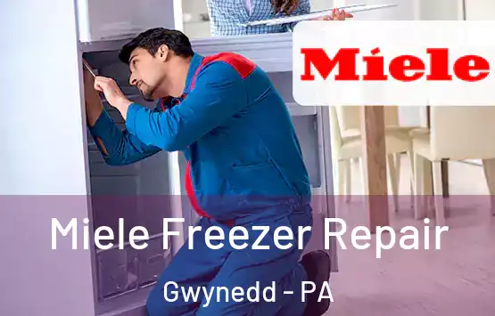  Miele Freezer Repair Gwynedd - PA