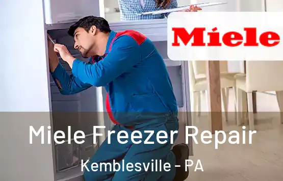  Miele Freezer Repair Kemblesville - PA