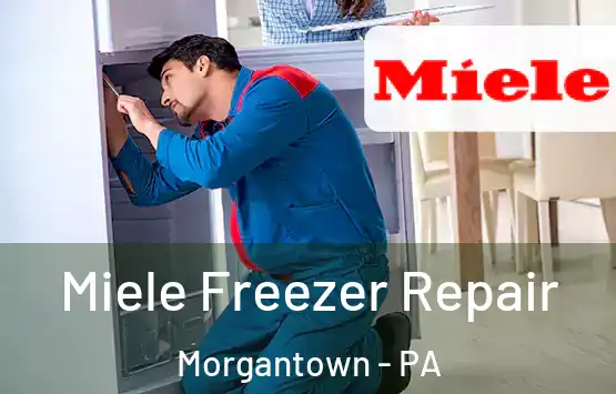  Miele Freezer Repair Morgantown - PA