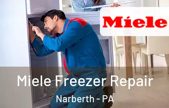  Miele Freezer Repair Narberth - PA
