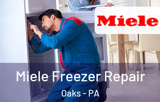  Miele Freezer Repair Oaks - PA