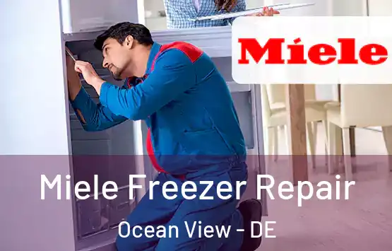  Miele Freezer Repair Ocean View - DE