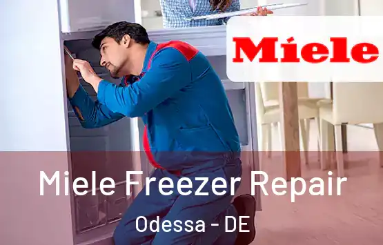  Miele Freezer Repair Odessa - DE