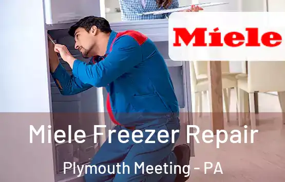  Miele Freezer Repair Plymouth Meeting - PA