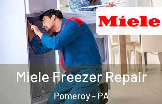  Miele Freezer Repair Pomeroy - PA