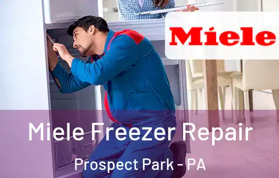  Miele Freezer Repair Prospect Park - PA