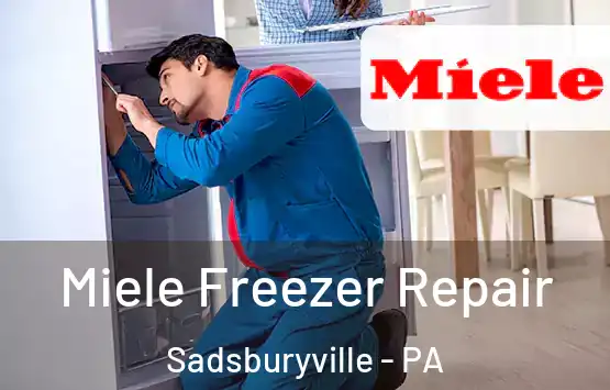  Miele Freezer Repair Sadsburyville - PA