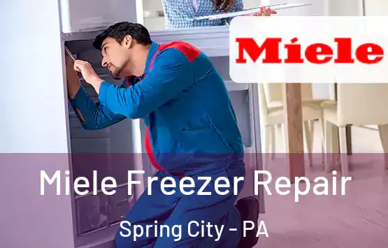  Miele Freezer Repair Spring City - PA