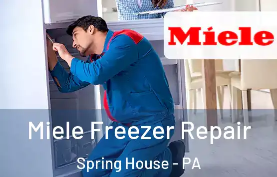  Miele Freezer Repair Spring House - PA