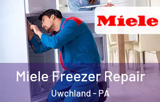  Miele Freezer Repair Uwchland - PA