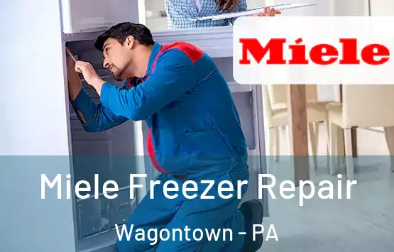  Miele Freezer Repair Wagontown - PA