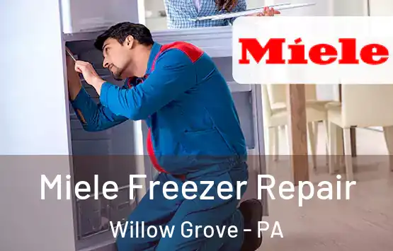  Miele Freezer Repair Willow Grove - PA