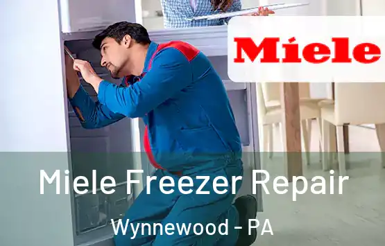  Miele Freezer Repair Wynnewood - PA