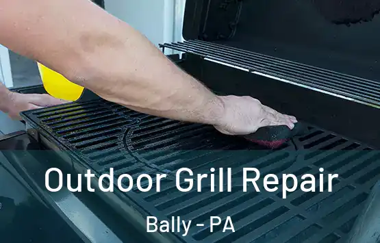  Outdoor Grill Repair Bally - PA