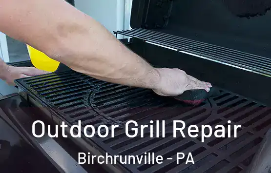  Outdoor Grill Repair Birchrunville - PA
