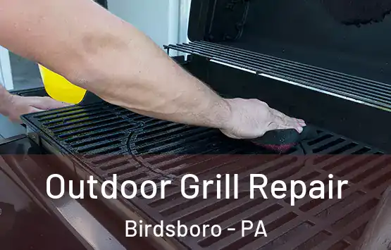  Outdoor Grill Repair Birdsboro - PA