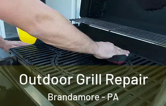  Outdoor Grill Repair Brandamore - PA