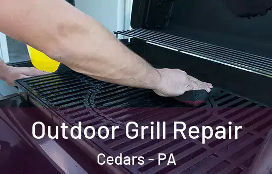  Outdoor Grill Repair Cedars - PA