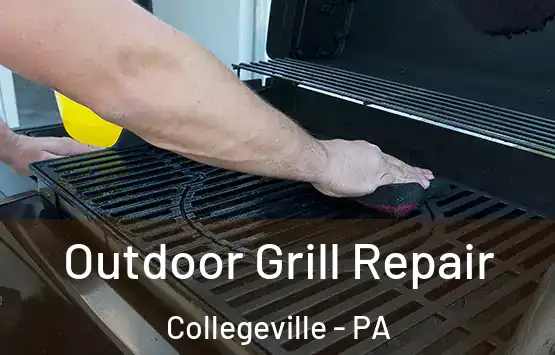  Outdoor Grill Repair Collegeville - PA