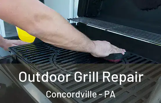  Outdoor Grill Repair Concordville - PA