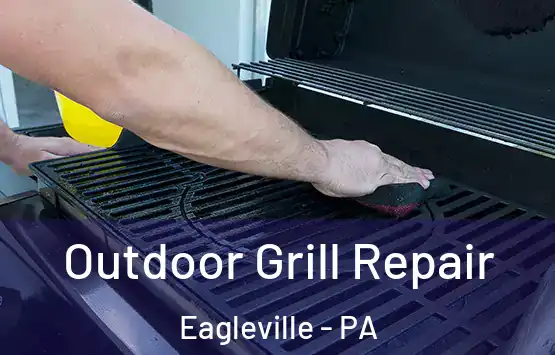  Outdoor Grill Repair Eagleville - PA