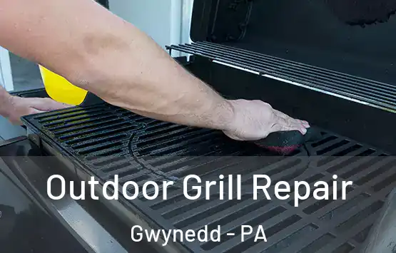  Outdoor Grill Repair Gwynedd - PA