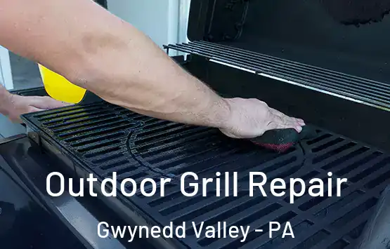  Outdoor Grill Repair Gwynedd Valley - PA