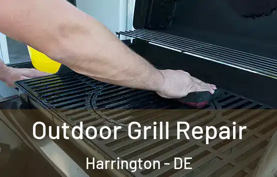  Outdoor Grill Repair Harrington - DE