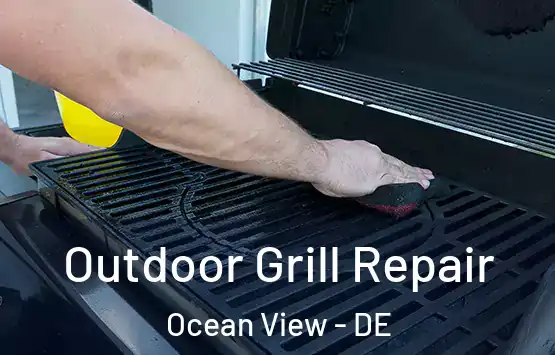  Outdoor Grill Repair Ocean View - DE