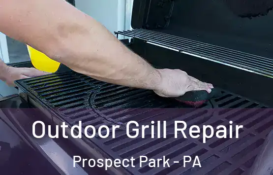  Outdoor Grill Repair Prospect Park - PA