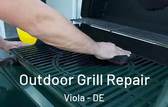  Outdoor Grill Repair Viola - DE