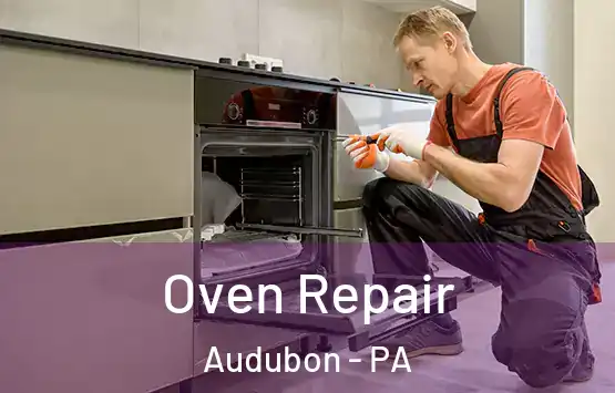  Oven Repair Audubon - PA