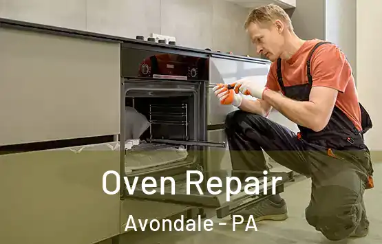  Oven Repair Avondale - PA