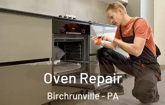  Oven Repair Birchrunville - PA