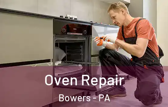  Oven Repair Bowers - PA