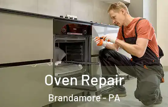  Oven Repair Brandamore - PA