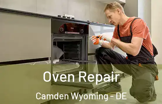  Oven Repair Camden Wyoming - DE