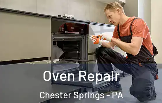  Oven Repair Chester Springs - PA