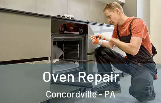  Oven Repair Concordville - PA